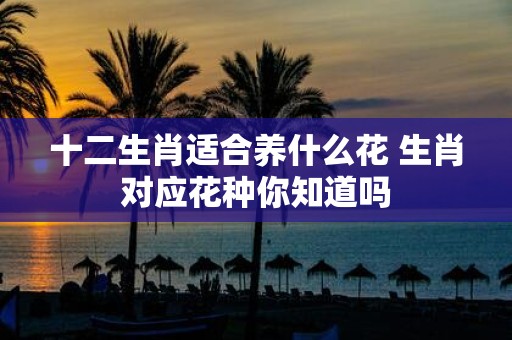 十二生肖适合养什么花 生肖对应花种你知道吗