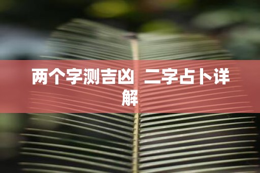 两个字测吉凶 二字占卜详解