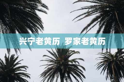 兴宁老黄历 罗家老黄历