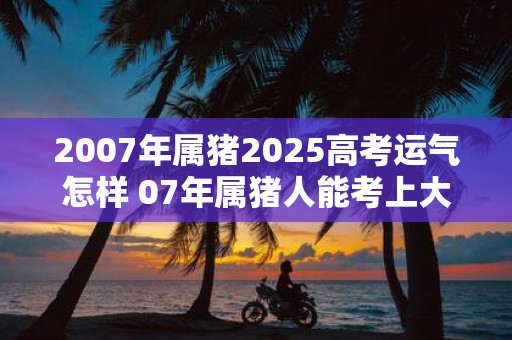 2007年属猪2025高考运气怎样 07年属猪人能考上大学吗