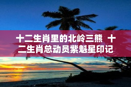 十二生肖里的北岭三熊 十二生肖总动员紫魁星印记
