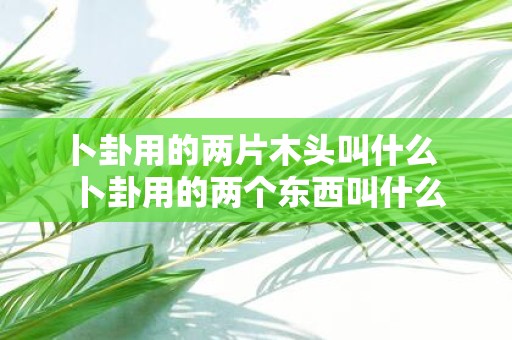 卜卦用的两片木头叫什么 卜卦用的两个东西叫什么