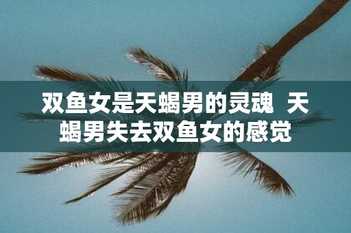 双鱼女是天蝎男的灵魂 天蝎男失去双鱼女的感觉