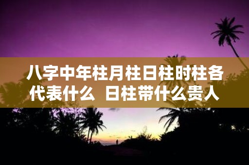 八字中年柱月柱日柱时柱各代表什么 日柱带什么贵人最好