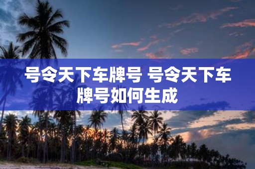 号令天下车牌号 号令天下车牌号如何生成
