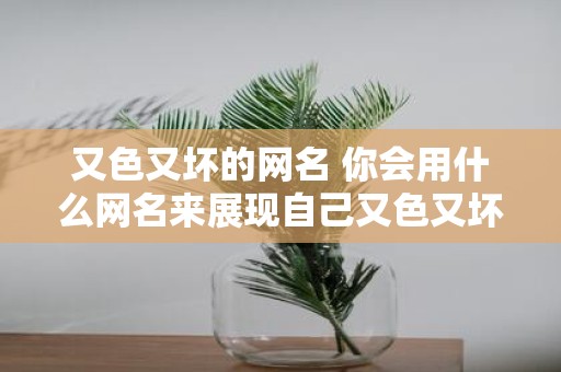 又色又坏的网名 你会用什么网名来展现自己又色又坏的一面