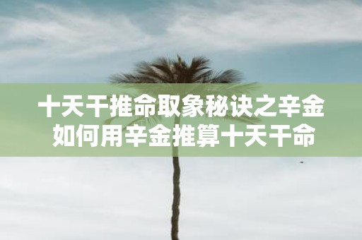十天干推命取象秘诀之辛金 如何用辛金推算十天干命运