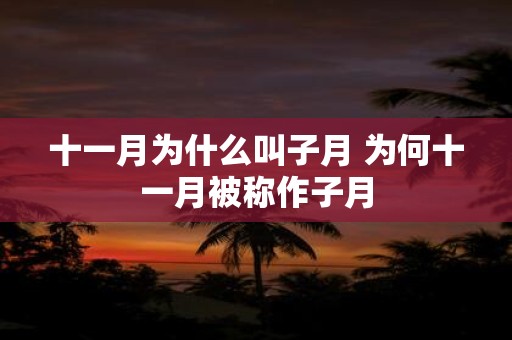 十一月为什么叫子月 为何十一月被称作子月