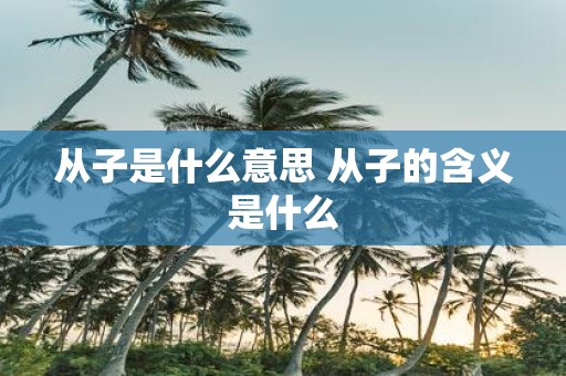 从子是什么意思 从子的含义是什么