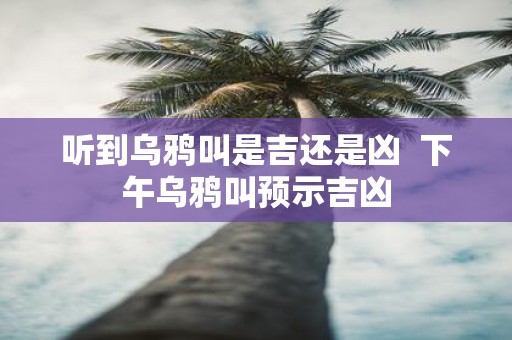 听到乌鸦叫是吉还是凶 下午乌鸦叫预示吉凶