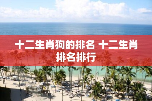 十二生肖狗的排名 十二生肖排名排行