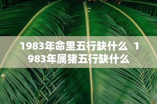 1983年命里五行缺什么 1983年属猪五行缺什么