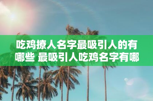 吃鸡撩人名字最吸引人的有哪些 最吸引人吃鸡名字有哪些