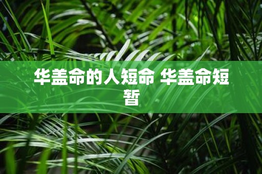 华盖命的人短命 华盖命短暂