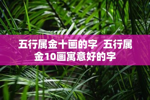 五行属金十画的字 五行属金10画寓意好的字