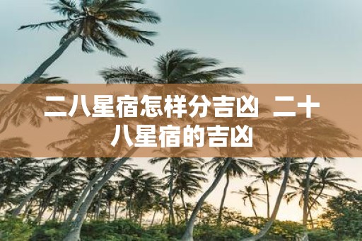 二八星宿怎样分吉凶 二十八星宿的吉凶