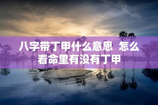 八字带丁甲什么意思 怎么看命里有没有丁甲