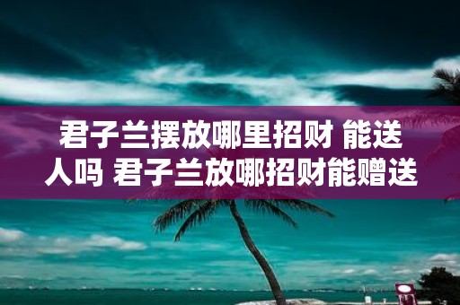 君子兰摆放哪里招财 能送人吗 君子兰放哪招财能赠送吗