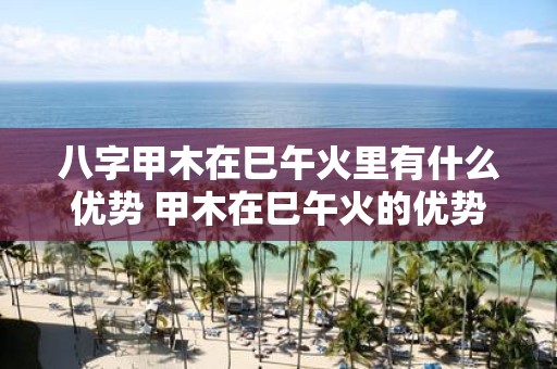 八字甲木在巳午火里有什么优势 甲木在巳午火的优势
