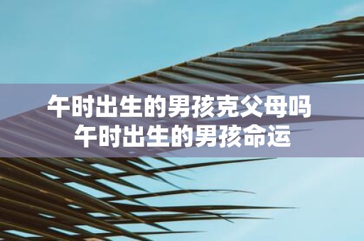 午时出生的男孩克父母吗 午时出生的男孩命运