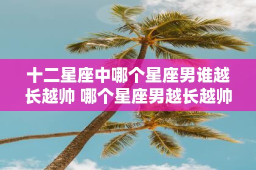 十二星座中哪个星座男谁越长越帅 哪个星座男越长越帅