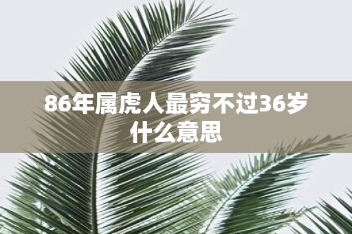 86年属虎人最穷不过36岁什么意思