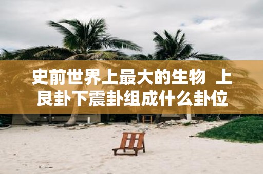 史前世界上最大的生物 上艮卦下震卦组成什么卦位