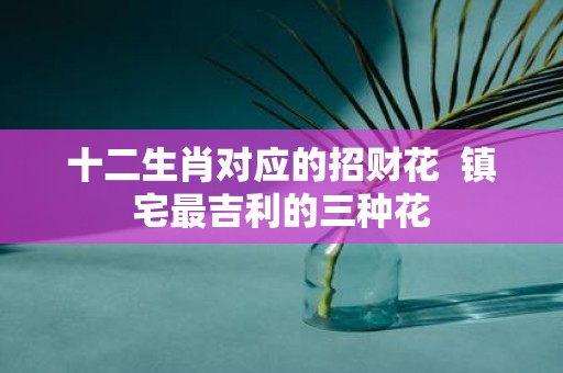 十二生肖对应的招财花 镇宅最吉利的三种花