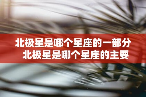 北极星是哪个星座的一部分 北极星是哪个星座的主要标志