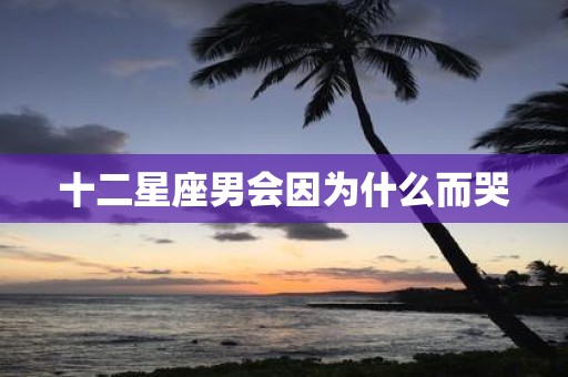 十二星座男会因为什么而哭