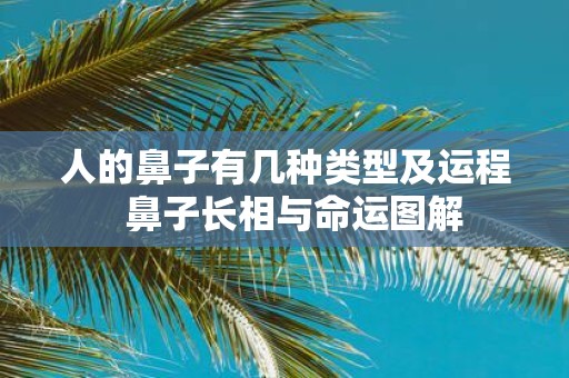 人的鼻子有几种类型及运程 鼻子长相与命运图解