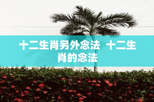 十二生肖另外念法 十二生肖的念法