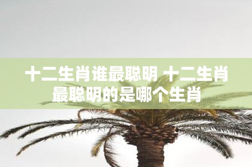 十二生肖谁最聪明 十二生肖最聪明的是哪个生肖