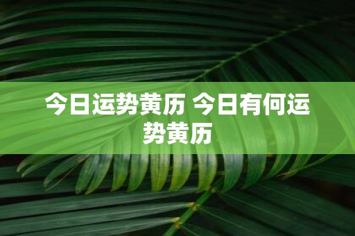 今日运势黄历 今日有何运势黄历