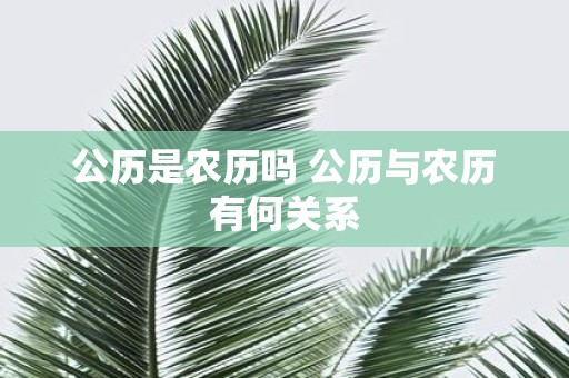 公历是农历吗 公历与农历有何关系