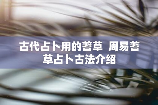古代占卜用的蓍草 周易蓍草占卜古法介绍