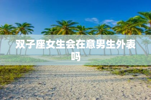 双子座女生会在意男生外表吗