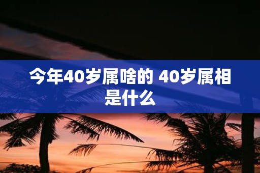今年40岁属啥的 40岁属相是什么