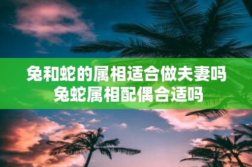 兔和蛇的属相适合做夫妻吗 兔蛇属相配偶合适吗