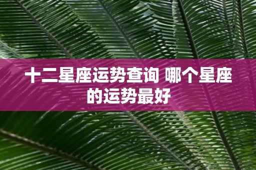 十二星座运势查询 哪个星座的运势最好