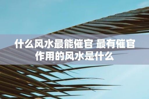 什么风水最能催官 最有催官作用的风水是什么