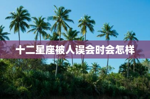 十二星座被人误会时会怎样