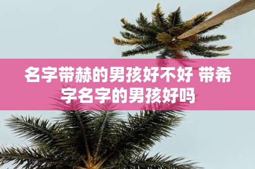 名字带赫的男孩好不好 带希字名字的男孩好吗