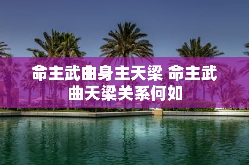 命主武曲身主天梁 命主武曲天梁关系何如