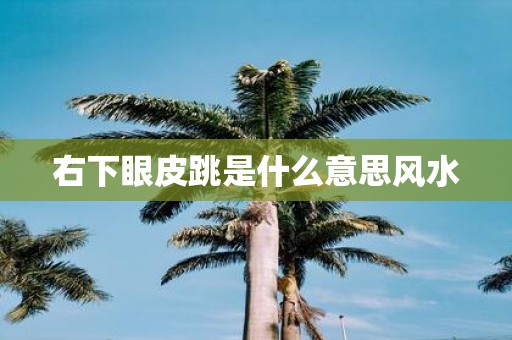 右下眼皮跳是什么意思风水