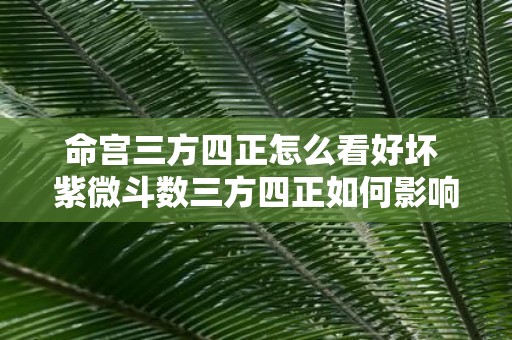 命宫三方四正怎么看好坏 紫微斗数三方四正如何影响
