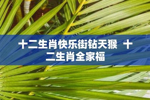 十二生肖快乐街钻天猴 十二生肖全家福