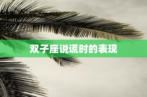 双子座说谎时的表现