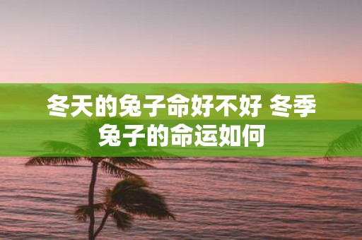 冬天的兔子命好不好 冬季兔子的命运如何