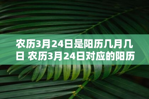 农历3月24日是阳历几月几日 农历3月24日对应的阳历是哪一天